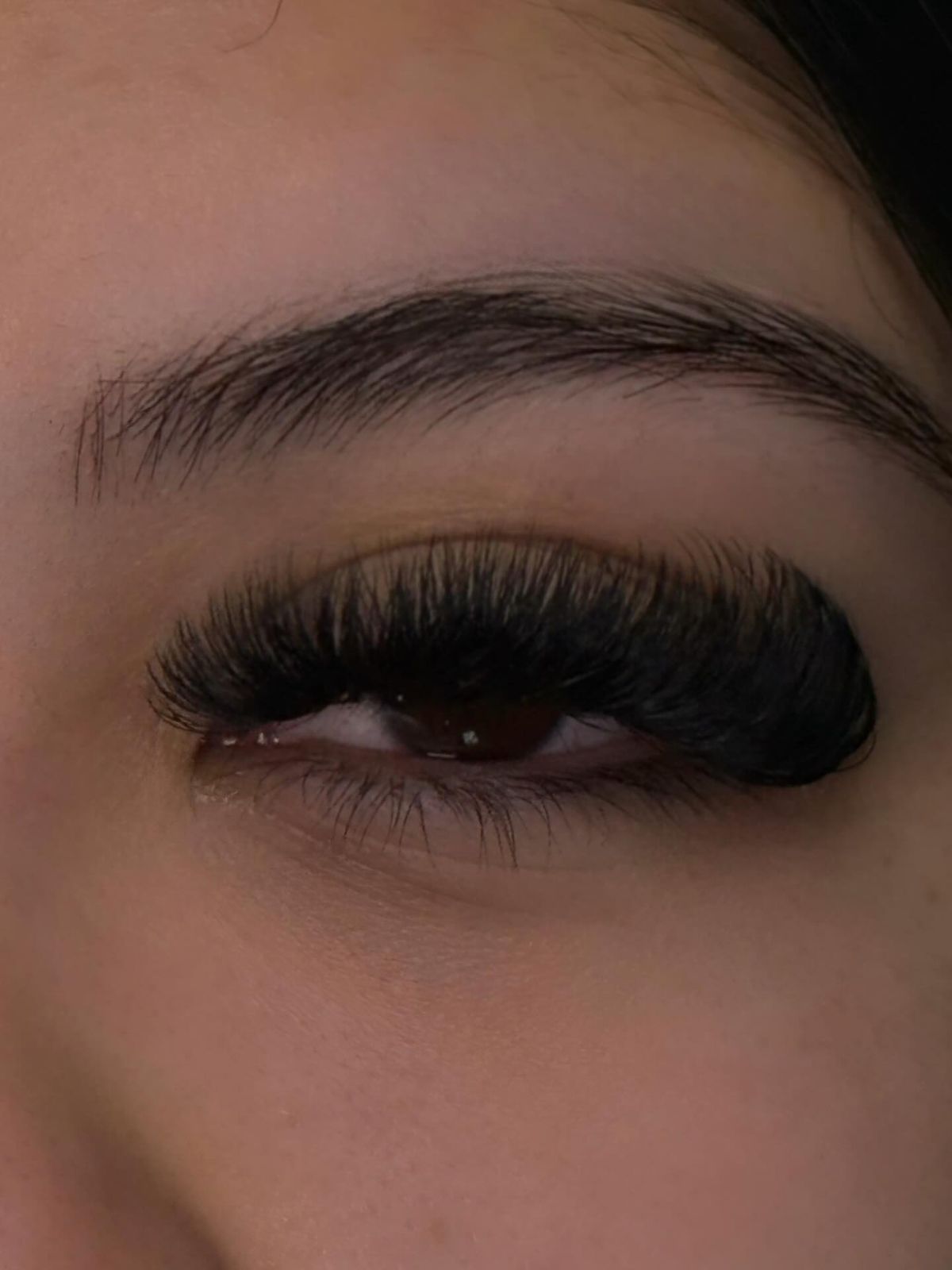 Full, dark volume lash set