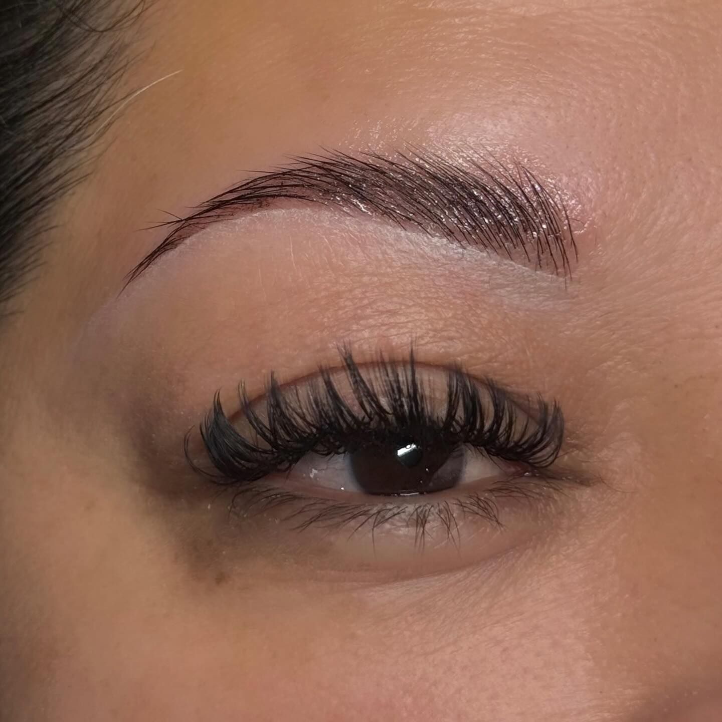 A wispy lash set by Daphne, close up, with brows done